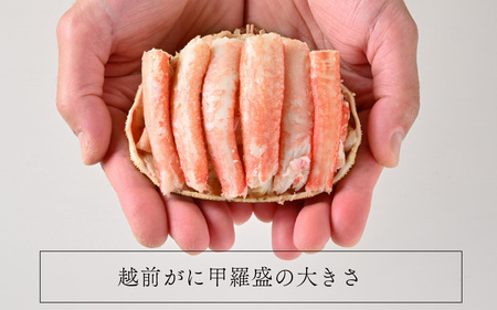 年中旨い蟹を堪能！老舗カニ料理専門店の「越前ズワイガニ甲羅盛」1個（200g前後）[C-085001] / ズワイガニ