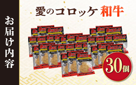 愛のコロッケ（長崎和牛入り）30個  /コロッケ レンジ コロッケ 冷凍 コロッケ ころっけ 牛肉コロッケ おかず 惣菜 時短 冷凍  牛肉 和牛 / 大村市 / 株式会社ナガスイ [ACYQ037]