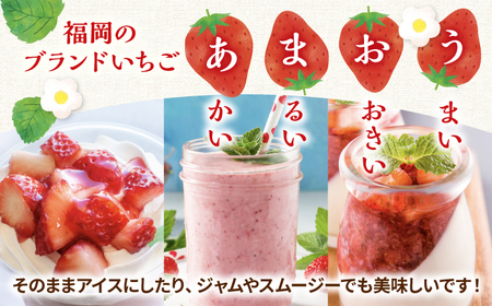 【全12回定期便】【訳あり】博多和牛 サーロインステーキ ＆ あまおう セット1.3kg 桂川町/株式会社 MEAT PLUS [ADAQ068] 訳あり 定期便 国産 牛肉 和牛 サーロイン イチゴ いちご