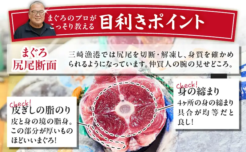 【お盆用】天然目鉢鮪 中とろ2柵・赤身1柵＜A2ランク＞（2026年8月10日にお届け） M005-005 目鉢鮪 鮪 まぐろ