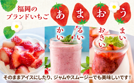 【全6回定期便】【訳あり】辛子明太子 小切1kg（100g×10p）＆ あまおう セット1.8kg 桂川町/株式会社 MEAT PLUS [ADAQ073] 訳あり 明太子 めんたい いちご 苺 イチゴ 定期便