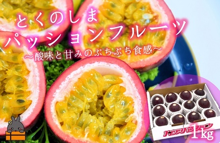 《2026年6月～7月配送！》太陽が育てた徳之島産パッションフルーツ（1kg）  ( 果物 パッション フルーツ 酸味 甘み プチプチ 徳之島 奄美 鹿児島 美味しい 旬 南の島 世界自然遺産 果樹 島 )
