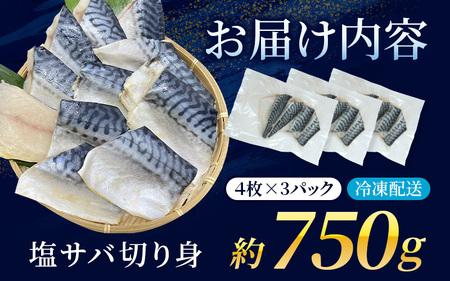 さば 骨無し 無添加 塩さば 約750g（250g×3パック 12枚）【nss507B】