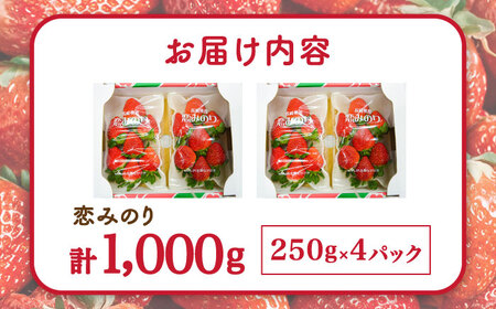 【2027年1月-発送】 いちご恋みのり 250g × 4パック [SAC007] いちご