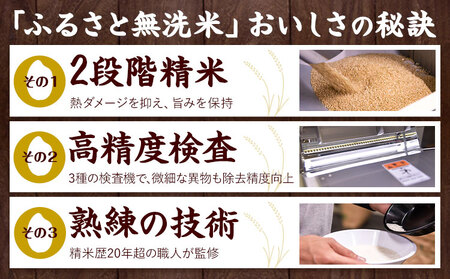 米ふるさと無洗米 20kg (5kg×4袋) 米 《1-5日以内に出荷予定(土日祝除く)》