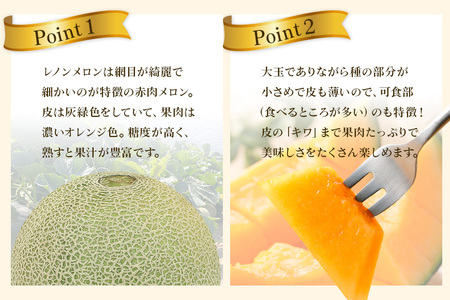 【数量限定・先行予約】 おみたまレノンメロン 赤肉 2玉 秀品 【7月11日まで受付・6月以降順次発送予定】 52-D