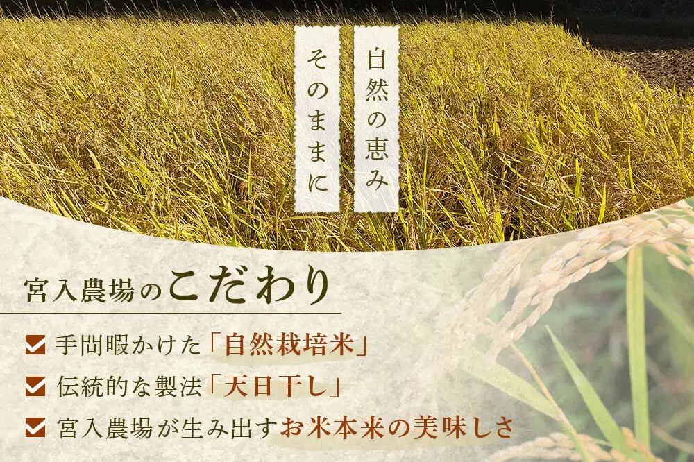 〈先行予約 令和8年産 新米〉自然栽培米「亀ノ尾」玄米10kg 天日干し 農薬・肥料不使用 