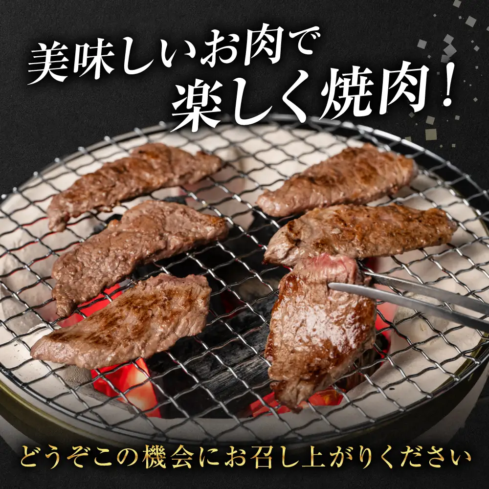 【GI認証】 くまもとあか牛 焼肉用 500g お肉 牛 焼肉 BBQ 赤身 バーベキュー 和牛 牛肉 和牛 褐毛和牛 国産 国産和牛 冷凍 