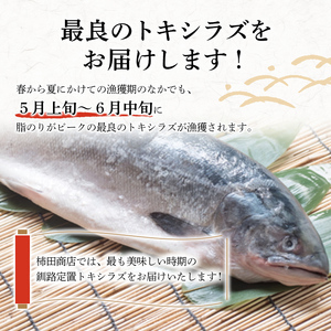 特大 船上活じめ釧路定置トキシラズ5切れ 真空パック 小分け 肉厚 鮭 サケ 魚 海鮮 トキシラズ 時鮭 鮭切身 シャケ 冷凍 おかず
