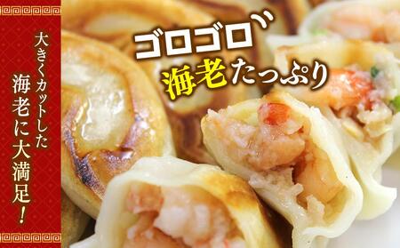 横浜大宝餃子 もちもち国産ジャンボ焼き餃子30個＆海老餃子20個セット｜国産食材使用 冷凍餃子 エビ えび 中華 総菜 お取り寄せ ギフト｜人気 おすすめ 送料無料｜神奈川県 横浜市 AKN0003