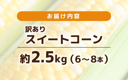【先行予約】【訳あり】農場直送 鮮度抜群 スイートコーン（とうもろこし ) 約2.5kg（6本～8本)【2026年7月上旬より順次発送予定】 【お楽しみ バーベキュー 冷凍保存可能 焼肉 おやつ ご飯のおとも 野菜 国産 産地直送】 [e62-a008]