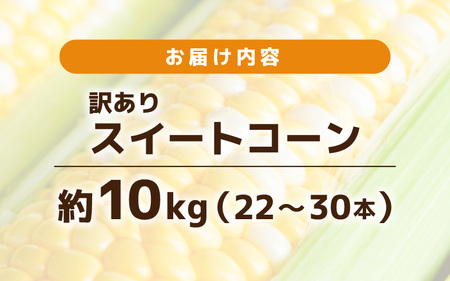 【先行予約】【訳あり】農場直送 鮮度抜群 スイートコーン( とうもろこし ) 約10kg（22本～30本) 【2026年7月上旬より順次発送予定】【お楽しみ バーベキュー 冷凍保存可能 焼肉 おやつ ご飯のおとも 野菜 国産 産地直送】 [e62-a010]