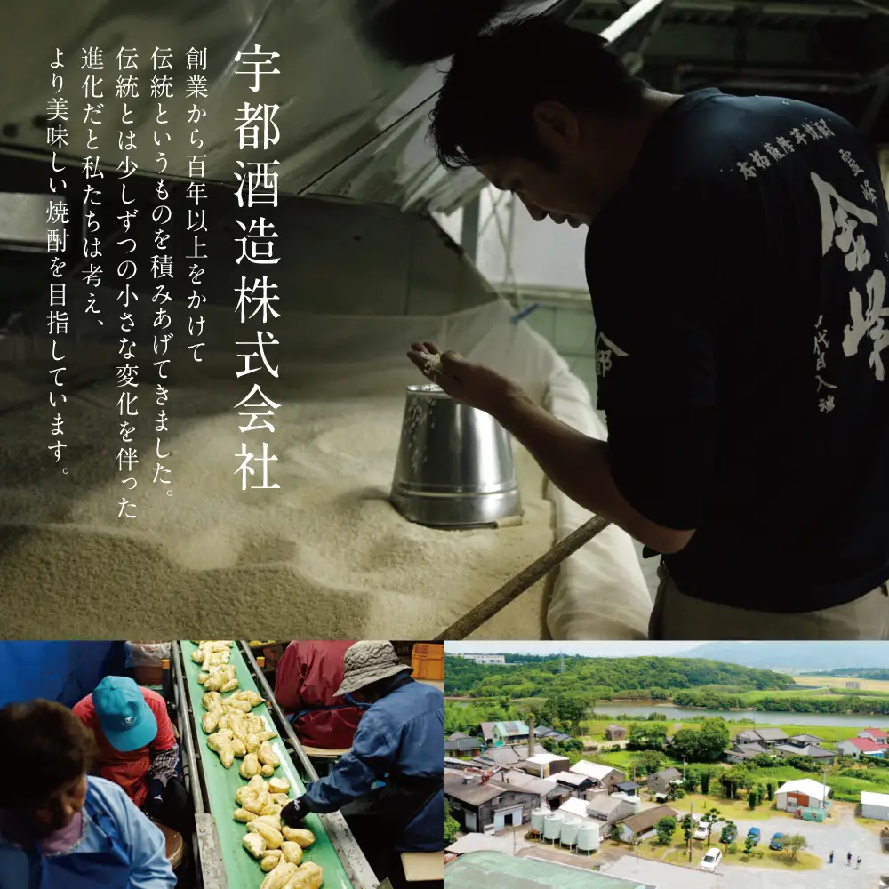 【ふるさと納税限定】【蔵元直送】宇都酒造 本格芋焼酎2本飲み比べセット（天文館 900ml＆かせだんもん720ml） いも焼酎 芋焼酎 お酒 鹿児島 ハイボール 内祝い 贈答用 ギフト 南さつま市