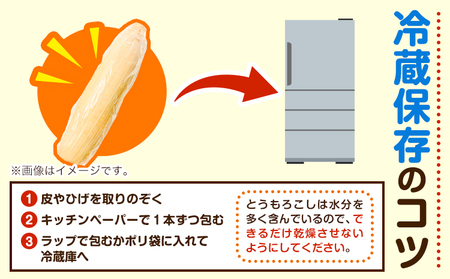 極甘とうもろこし ピーターコーン 20本 特大サイズ(1本380g以上) 高橋賢三【先行予約】《2026年8月上旬-9月中旬頃出荷》 とうもろこし トウモロコシ 北海道とうもろこし 朝採れとうもろこし 産地直送とうもろこし