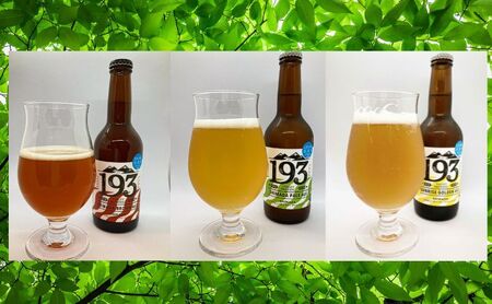 193 クラフトビール  定番6本セット (シズオカゴールデンエール/緑茶ペールエール/ほうじ茶ブラウンエール)　クラフトビール ご当地ビール ローカルビール 地ビール お酒 ビール ビアホップおおいがわ イクミバレーブリューイング 