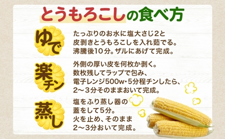 北海道 洞爺湖町 月浦 雪の妖精 5kg 先行受付 8月下旬～9月下旬頃にお届け とうもろこしトウモロコシ とうきび スイート コーン 旬 野菜 甘い 大粒 人気 朝採り 産地直送 青山農園 送料無料 洞爺湖 