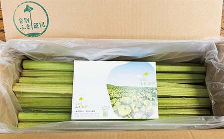 音蕗(おんぶき) 2kg 【6月上旬発送予定】 無農薬 蕗 フキ ふき 煮しめ 和食 おかず ご飯のお供 音別産生蕗 北海道産 北海道