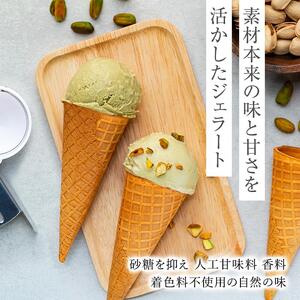 【数量限定】ジェラート 500ml×2種 食べ比べ シチリア産 ピスタチオ 豆乳ピスタチオ【大容量 アイス 業務用 セット スイーツ 人気 デザート 冷凍 氷菓子 合計 1リットル 家族 ファミリーサイズ イタリア】