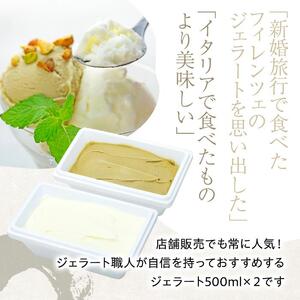 【数量限定】ジェラート 500ml×2種 食べ比べ  シチリア産 ピスタチオ 朝搾りミルク【大容量 アイス 業務用 セット 合計 1リットル スイーツ 人気 デザート 冷凍 氷菓子 家族 ファミリーサイズ】