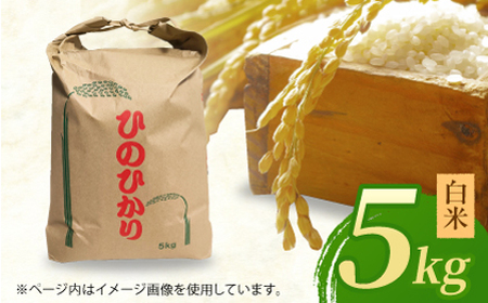 ヒノヒカリ 白米5kg 【角田農園】[ZEV001] 白米 コメ ごはん 熊本 山鹿 