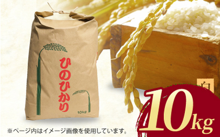 ヒノヒカリ 白米10kg 【角田農園】[ZEV002] 白米 コメ ごはん  熊本 山鹿
