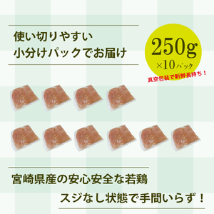 【手間いらず！】宮崎県産若鶏スジなしささみ2.5kgセット（250g×10P 国産 鶏肉 若鶏 ササミ 大容量 冷凍）ささみ 鶏肉 ささみ 若鶏 鶏肉 ささみ スジなし 鶏肉 ささみ スジなし
