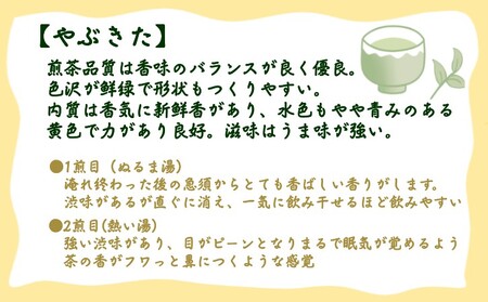 【 R8年産 】種子島 射場貴大 茶園 「さえみどり」 「あさつゆ」 「なんめい」 「やぶきた」 茶ツウ が 喜ぶ 単品 味わい セット　NFN573【300pt】// 日本茶 緑茶 希少品種 お茶 新茶 一番茶 煎茶 