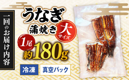 【うなぎや】 【3回定期便】 炭火焼 うなぎの蒲焼き 1尾 【紀州備長炭使用】 鰻 ウナギ 丑の日 多治見市 [TFO004]
