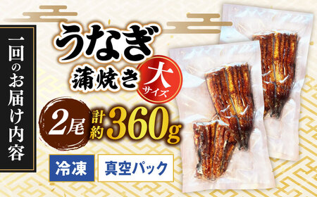 【うなぎや】 【12回定期便】 炭火焼 うなぎの蒲焼き 2尾 【紀州備長炭使用】 鰻 ウナギ 丑の日 多治見市 [TFO009]