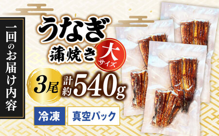 【うなぎや】 【12回定期便】 炭火焼 うなぎの蒲焼き 3尾 【紀州備長炭使用】 鰻 ウナギ 丑の日 多治見市[TFO012]