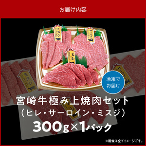 宮崎牛極み上焼肉セット 合計 300g　N0140-YB362