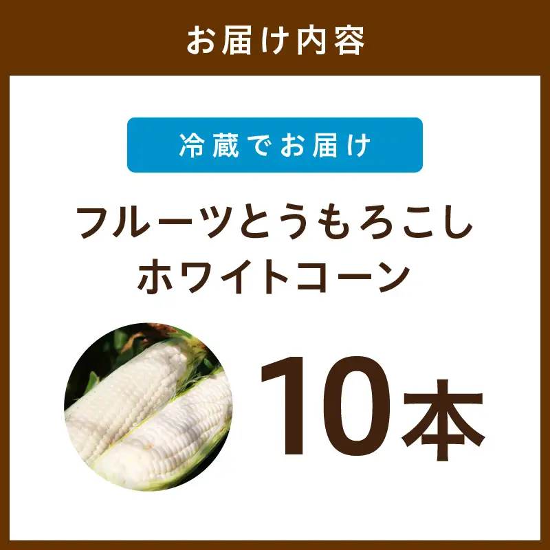 【先行予約】とうもろこし ホワイトコーン 10本 トウモロコシ