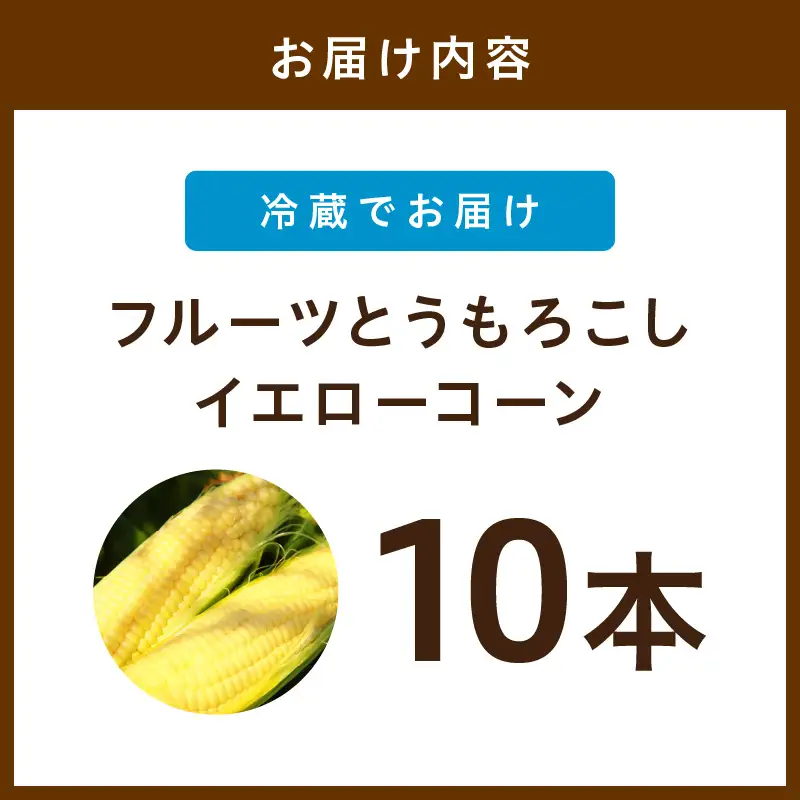 【先行予約】とうもろこし イエローコーン 10本 トウモロコシ