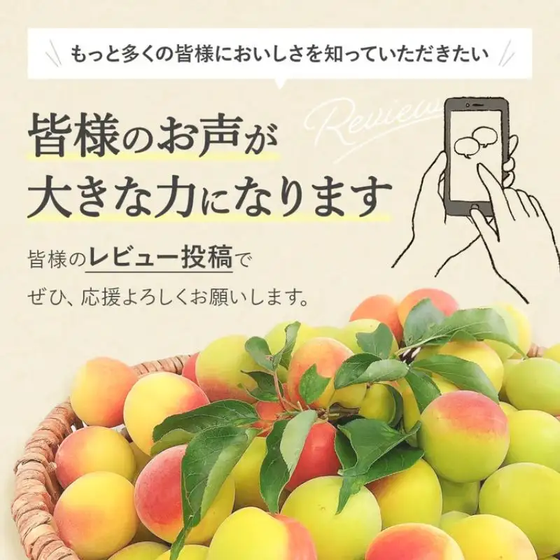【紀州南高梅】ご飯に合う甘くない はちみつ梅干（塩分8％）80g×5パック A級品 / 梅干し 梅干 梅 紀州南高梅 南高梅 はちみつ使用 はちみつ梅 肉厚 お米 おにぎり はちみつ梅 塩分8％ 塩分控えめ 和歌山 田辺市【ske054】