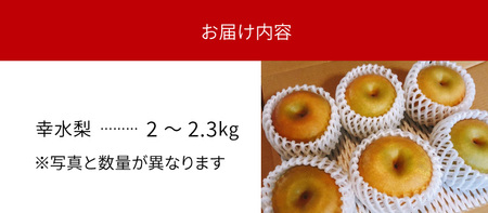 完熟採り　もりやま梨（幸水）2キロ～2.3キロ【先行予約】 CW-0007