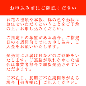 東北最大級のガーデニング専門店 厳選 『季節の寄せ植え』 4種類 ～ 6種類 【花工房らら倶楽部】 花 生花 フラワー 植物 観葉植物 寄せ植え 季節 鉢植え 鉢 ポット ガーデニング 庭 玄関 ベランダ 国産 産地直送 期間限定 人気 おすすめ 予約 早期予約 先行予約 [V-003-B]