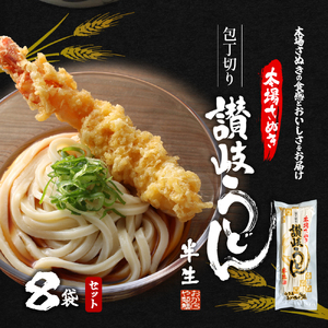 【 小豆島 】おか乃や製麺　讃岐うどん2種・めんつゆ詰合せ　22人前 