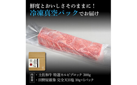 土佐和牛 特選カルビブロック300g 田野屋銀象完全天日塩1P付き 特選 長期熟成肉 田野屋銀象 完全天日塩付き カルビ 牛肉 ブロック 肉 お肉 和牛 国産 牛【株式会社LATERAL】 [BQAU041]
