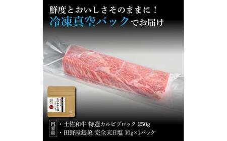 土佐和牛 特選カルビブロック250g 田野屋銀象完全天日塩1P付き 特選 長期熟成肉 田野屋銀象 完全天日塩付き カルビ 牛肉 ブロック 肉 お肉 和牛 国産 牛 熟成肉【株式会社LATERAL】 [BQAU040]