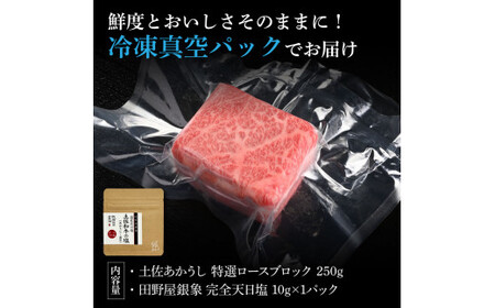特選 ロースブロック 土佐あかうし 長期熟成肉 250g 田野屋銀象 完全天日塩付き ロース 牛肉 ブロック 肉 お肉 和牛 国産 牛 熟成肉 ブロック肉 豪華 贅沢【株式会社LATERAL】 [BQAU022]