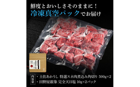 特選 スネ肉煮込み角切り 土佐あかうし 長期熟成肉 500g×2 合計1kg 田野屋銀象 完全天日塩付き スネ肉 煮込み 角切り 肉 お肉 和牛 牛肉 国産 牛 熟成肉【株式会社LATERAL】 [BQAU016]