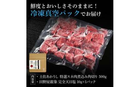 特選 スネ肉煮込み角切り 土佐あかうし 長期熟成肉 500g 田野屋銀象 完全天日塩付き スネ肉 煮込み 角切り 肉 お肉 和牛 牛肉 国産 牛 熟成肉 豪華 贅沢【株式会社LATERAL】 [BQAU015]