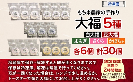 もち米農家の大福 5種 計30個 セット もち米 米 お米 大福 和菓子 お菓子 デザート モチモチ もちもち おやつ 国産もち米 国産 日本産 つきたて 冷凍 本格的 お取り寄せ ご当地 送料無料 北海道 美深町