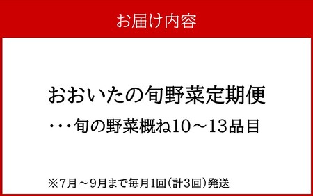 7月からお届け!おおいたの旬野菜定期便/計3回発送_2395R