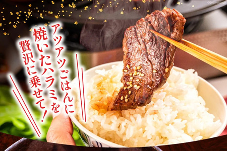 特製タレ漬 牛ハラミ 計900g (300g×3p) ハラミ [モ～ランド 宮城県 気仙沼市 20564312]