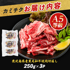A5等級鹿児島県産黒毛和牛 焼肉切り落とし750g 250g×3P カミチク IB112-016 牛肉 牛肉 