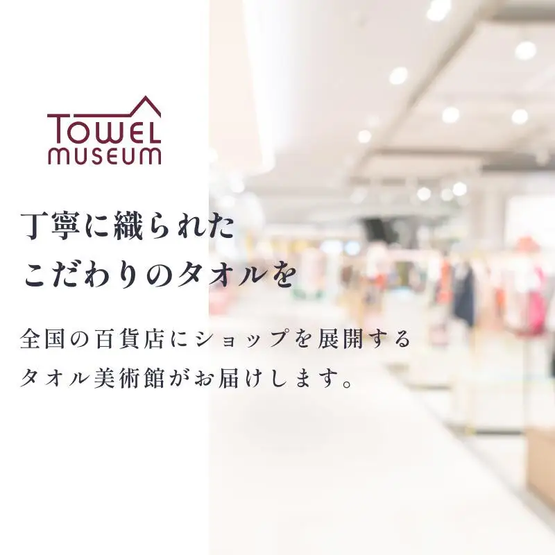 カラーパレット　バスタオル4枚セット（ライトグレー） タオル美術館