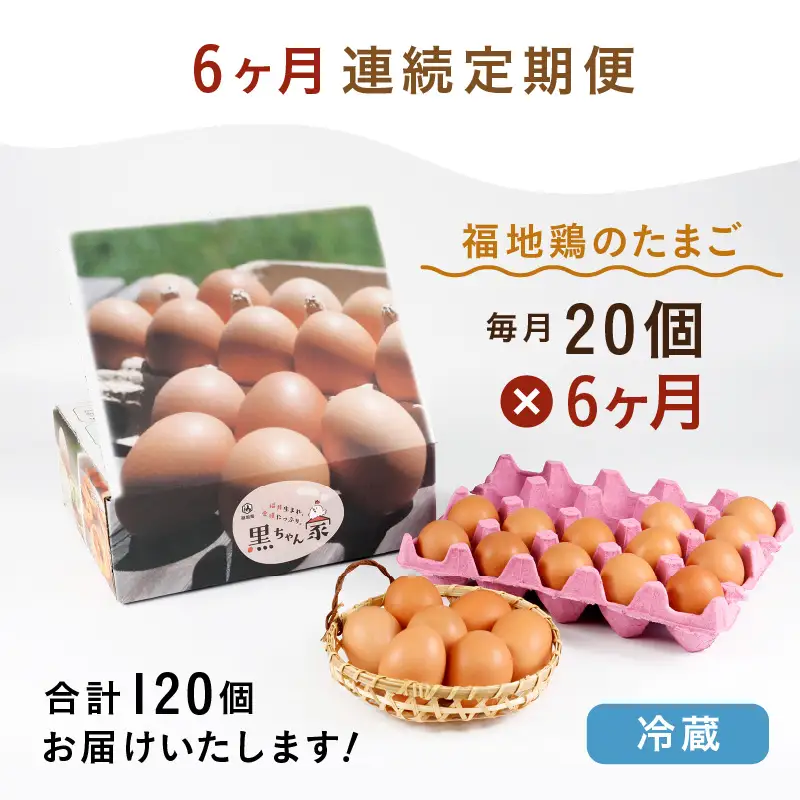 【6ヶ月連続お届け】 福井ブランド 「福地鶏」 の卵 20個 濃厚で甘くておいしい！  定期便 ／ 卵 たまご 鶏卵 生卵 有精卵 高級 高級卵 福地鶏 鶏 平飼い 美味しい こだわり 6ヶ月 定期便 卵かけご飯 料理 あわら市 福井県産 [aw036-d002]