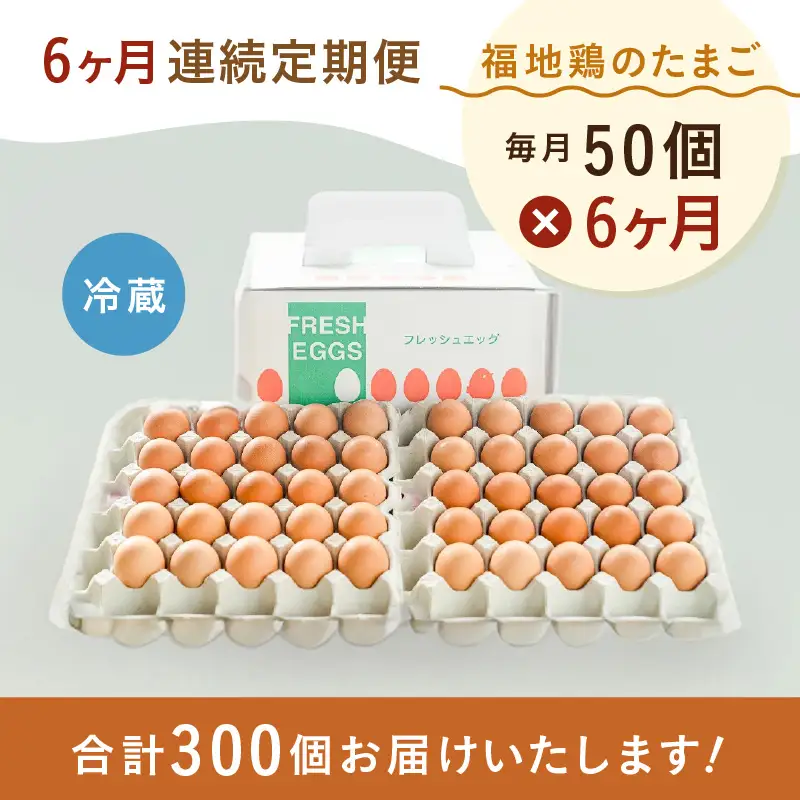 【6ヶ月連続お届け】 福井ブランド 「福地鶏」 の卵 50個 濃厚で甘くておいしい！ （25個入×2段） 定期便 ／ 卵 たまご 鶏卵 生卵 有精卵 高級 高級卵 福地鶏 鶏 平飼い 美味しい こだわり 6ヶ月 定期便 卵かけご飯 料理 あわら市 福井県産 [aw036-h002]