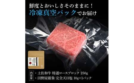 土佐和牛 特選ロースブロック250g 田野屋銀象完全天日塩1P付き 長期熟成肉 田野屋銀象 完全天日塩付き ロース 牛肉 ブロック 肉 お肉 和牛 国産 牛 熟成肉【株式会社LATERAL】 [BQAU052]